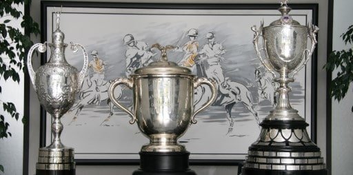 Polo: LA ASOCIACIÓN ARGENTINA DE POLO DIO A CONOCER LOS FIXTURES DE LA TRIPLE CORONA 2017