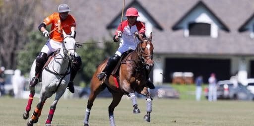 Polo: COMENZÓ EL ABIERTO DE TORTUGAS 2017