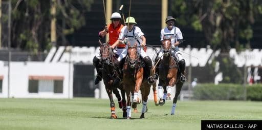 Polo: FESTEJOS DE LA AGUADA Y LA DOLFINA POR LA FECHA 5 y ALEGRÍA Y ELLERSTINA POR LA FECHA 6
