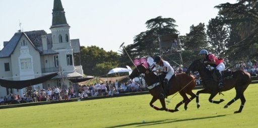 Polo: NUEVAS REGLAS 2018