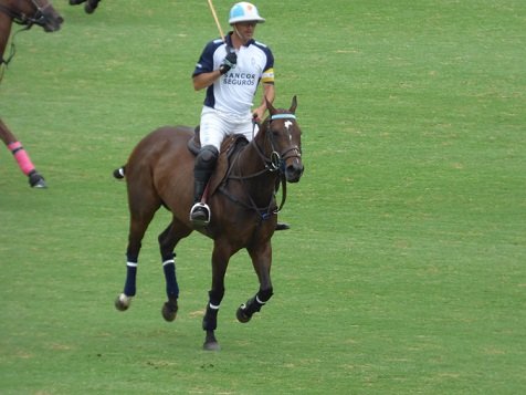 Polo: PREMIOS DEPORTIVOS 2019