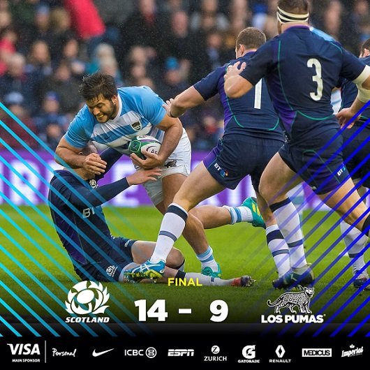 Rugby masculino: LOS PUMAS CAYERON FRENTE A ESCOCIA