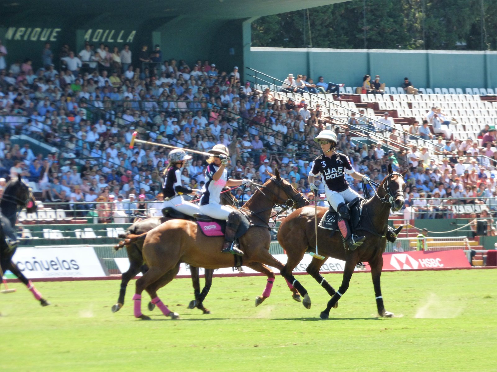 Polo femenino: LA DOLFINA BRAVA GANÓ EL II ABIERTO FEMENINO DE PALERMO