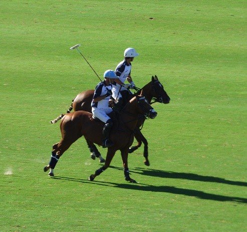 Polo: LA FINAL DEL 125º ABIERTO DE PALERMO FUE POSTERGADA UN DÍA MÁS Y SE JUGARÁ EL DOMINGO