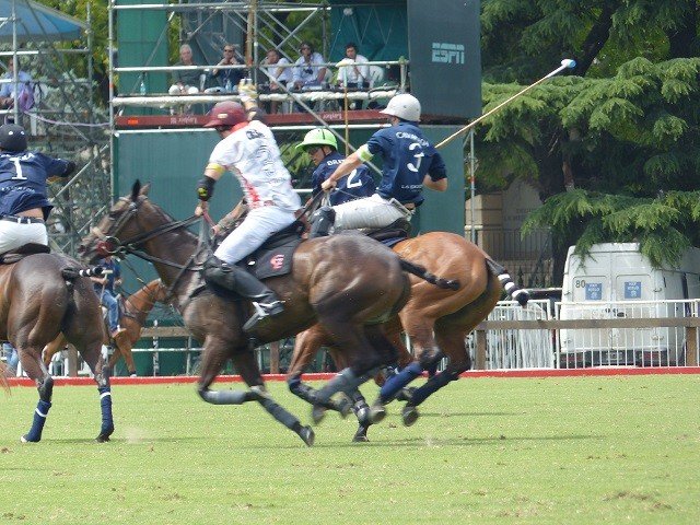 Polo: OFICIALIZARON LA TRIPLE CORONA 2020 Y EL ABIERTO FEMENINO