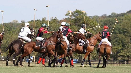 Polo masculino: EDICIÓN 2019 DE LA COPA DONOVAN Y DE LA COPA ESTÍMULO