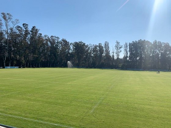 Rugby masculino: LOS PUMAS REGRESARON A LAS PRÁCTICAS