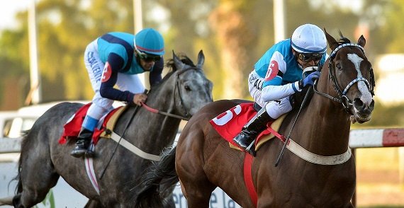 Turf: EMOTION ORPEN GANÓ LA CENTÉSIMA EDICIÓN DEL GRAN PREMIO DARDO ROCHA