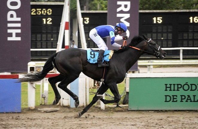 Turf: GREAT ESCAPE FUE EL GANADOR DEL GRAN PREMIO NACIONAL
