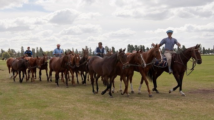 Polo masculino: COMIENZA LA LIGA DEL INTERIOR 2021