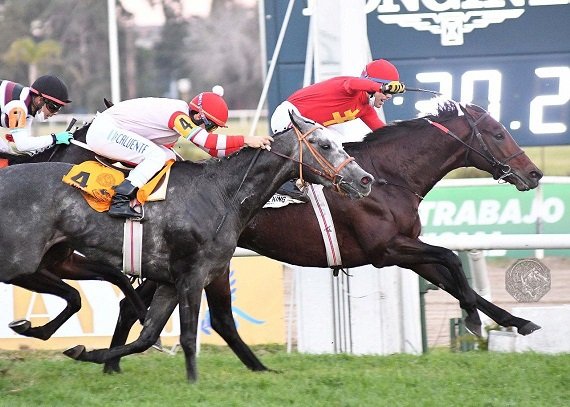 Turf: VILLAGE KING SE ADJUDICÓ EL GRAN PREMIO 25 DE MAYO