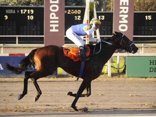Turf:  TETAZE GANÓ EL GRAN PREMIO REPÚBLICA ARGENTINA