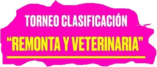 Polo masculino: DEFINIERON LAS ZONAS PARA EL TORNEO CLASIFICATORIO 2021