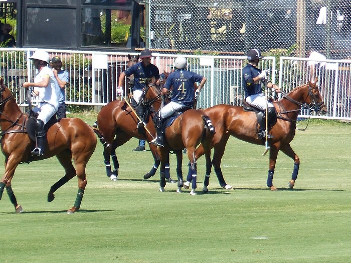Polo masculino: COMENZÓ EL 128° ARGENTINO ABIERTO HSBC DE PALERMO CON TRIUNFOS DE LA DOLFINA SAUDI Y LA ENSENADA