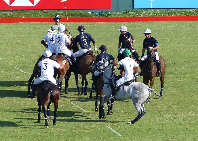 Polo masculino: ELLERSTINA JOHOR, LA ENSENADA BRUBANK, RS MURUS SANCTUS Y LA NATIVIDAD VENCIERON LA FECHA 3 DEL ABIERTO DE PALERMO