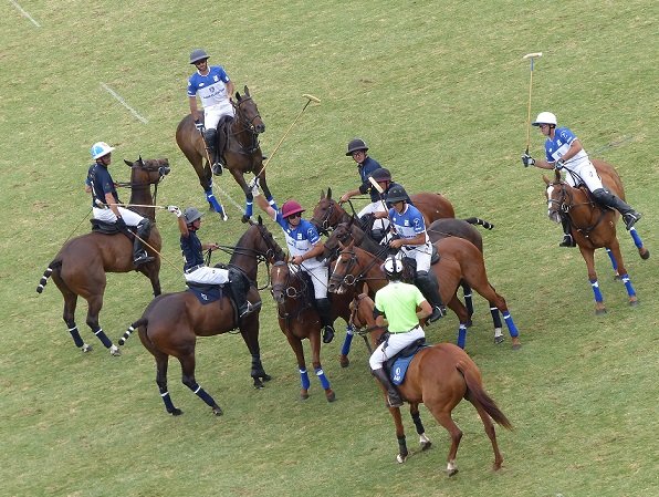 Polo masculino: LA DOLFINA SAUDI VENCIÓ A ELLERSTINA JOHOR EN LA ETAPA CLASIFICACIÓN DEL ABIERTO DE PALERMO