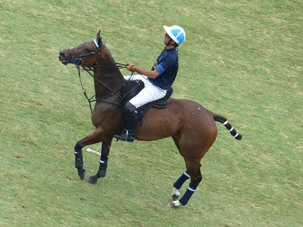 Polo masculino: LA DOLFINA SAUDI Y LA NATIVIDAD DEFINIRÁN EL 128º ABIERTO ARGENTINO HSBC DE PALERMO