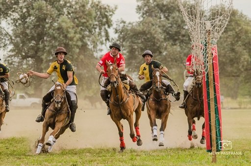 Pato: PRIMER FECHA CLASIFICATORIA DEL ABIERTO ARGENTINO