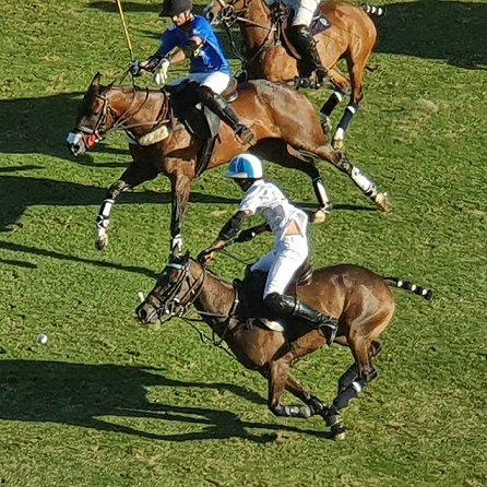 Polo masculino: LA NATIVIDAD Y RS MURUS SANCTUS GANARON Y PELEARÁN POR EL PASE A LA FINAL DEL 128° ABIERTO ARGENTINO HSBC DE PALERMO