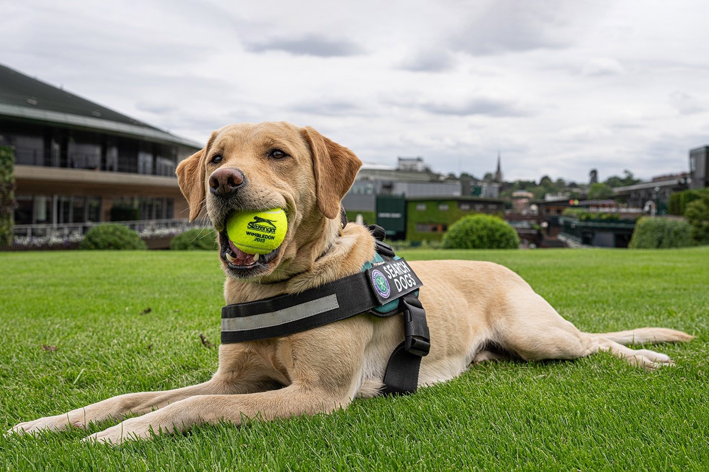 Tenis: WIMBLEDON YA ESTÁ EN MARCHA ……….