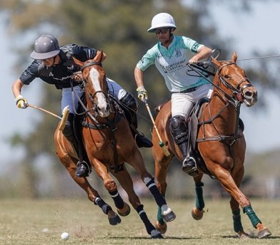 Polo masculino: LA DOLFINA SAUDÍ Y LA HACHE POLO TEAM ESTARÁN EN LA FINAL DEL 130° ABIERTO DE HURLINGHAM