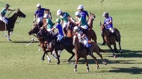 Polo masculino: LA DOLFINA SAUDI Y LA NATIVIDAD SON LOS FINALISTAS DEL 103° ABIERTO DE PALERMO