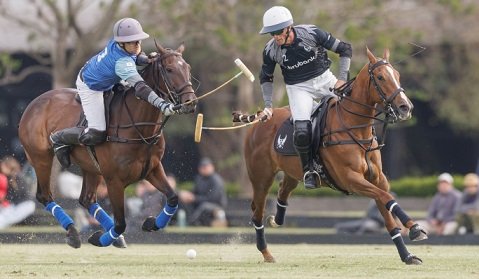 Polo masculino: TRIUNFOS DE LA HACHE LA ROCA, CRÍA LA DOLFINA, LA ENSENADA BRUBANK Y ELLERSTINA YELLOW ROSE EN EL COMIENZO DEL 130° ABIERTO DE PALERMO