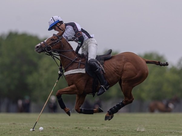 Polo masculino: EL OVERO Z7 UAE GANÓ EL REPECHAJE Y ESTÁ PRECLASIFICADO A LA TRIPLE CORONA DE LA PRÓXIMA TEMPORADA
