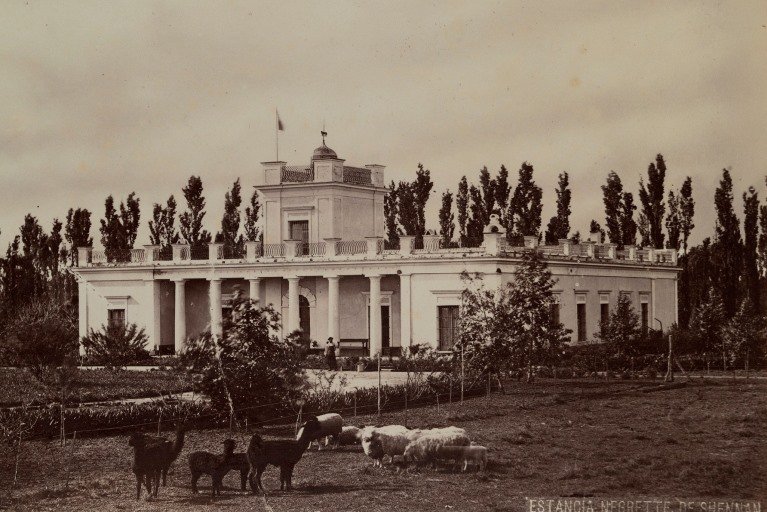 Polo: UN SIGLO Y MEDIO DEL MEJOR POLO DEL MUNDO