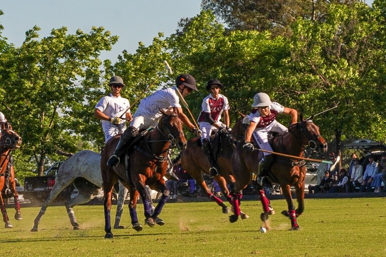 Polo masculino: EN PILAR SE DISPUTARON LOS PARTIDOS DE LA CUARTA FECHA DEL TORNEO CLASIFICACIÓN