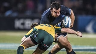 Rugby: ESTADÍSTICAS DE LOS PUMAS Y AUSTRALIA