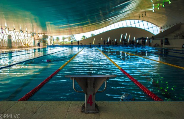 Natación: DELFINA PIGNATIELLO Y UN NUEVO RÉCORD ARGENTINO