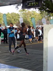 P1800168_resize_resize_resize