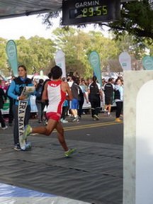 P1800170_resize_resize_resize