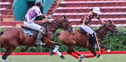 Polo: COPA DE ORO 2016 SE JUGARÁ EN PALERMO Y EN PILAR