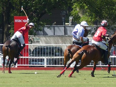 Polo: LA DOLFINA Y ELLERSTINA A SEMIS; LA AGUADA-CRÍA YATAY Y ALEGRÍA-LA IRENITA JUGARÁN EN CUARTOS DE FINAL